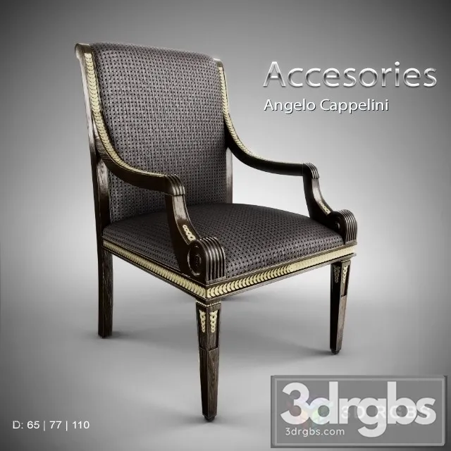 Angelo Cappelini Armchair 3D Model Free