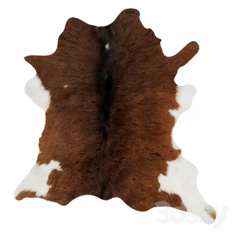 Animal skin rug 13 3D Model
