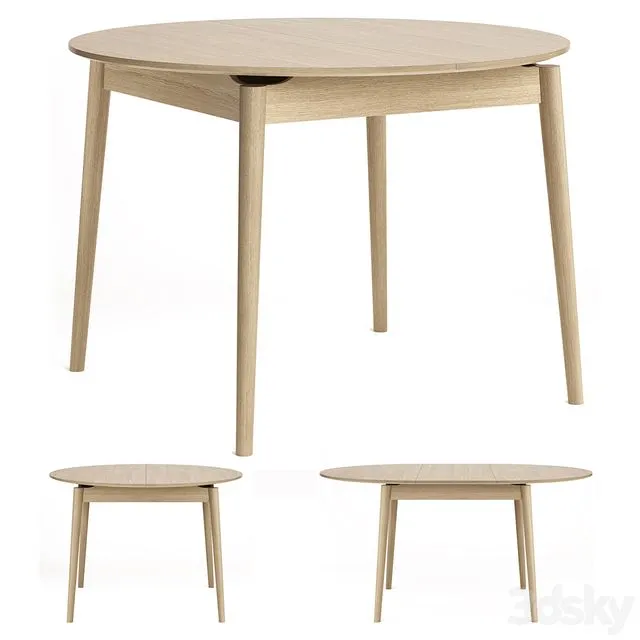 ANNI HAUS ALMOST 3D Model