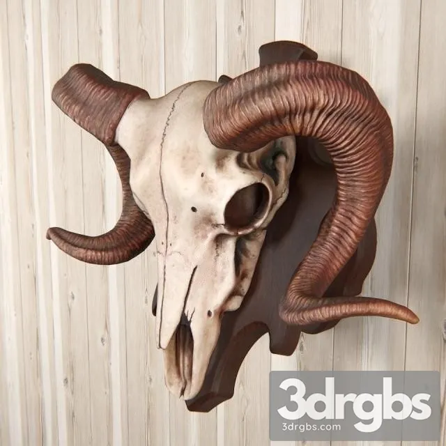 Antelope Head 3D Model Free