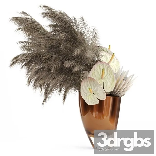 Anthuriums Protea Pampas Grass 3D Model Free
