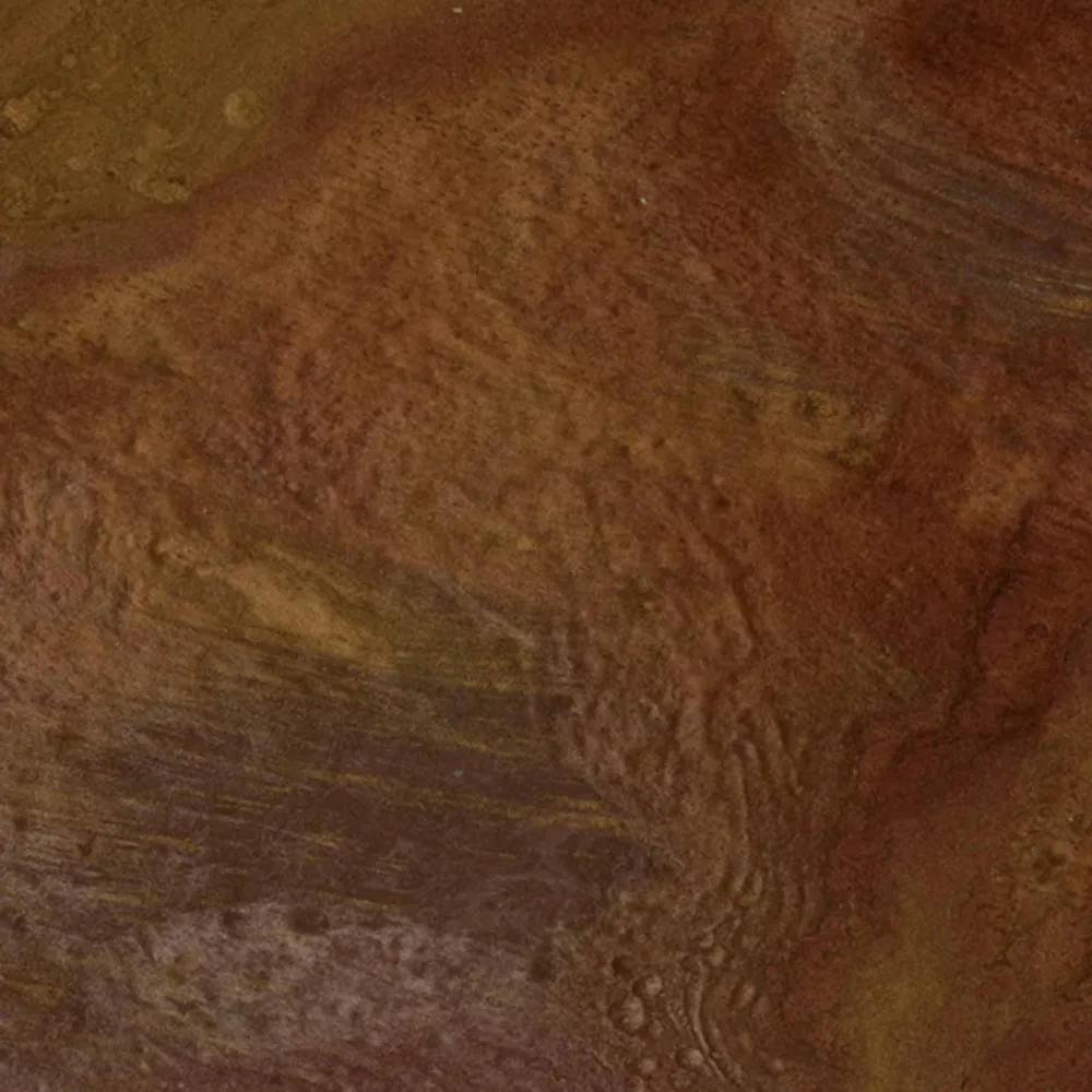 Apavisa  - Red Natural Aquarela 3D Model