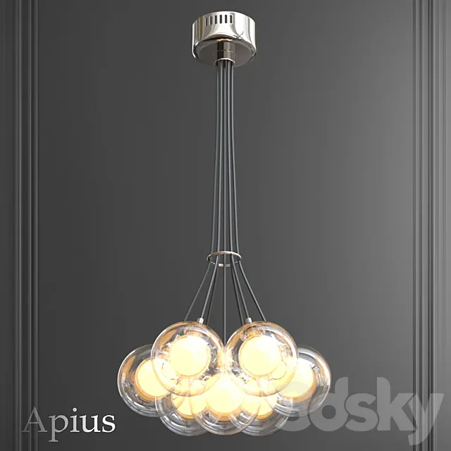 Apius 3D Model