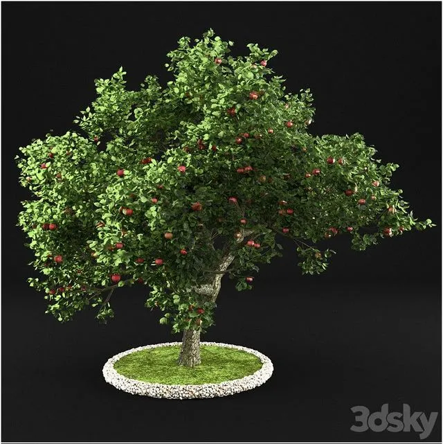 Apple Tree 002 Free Download
