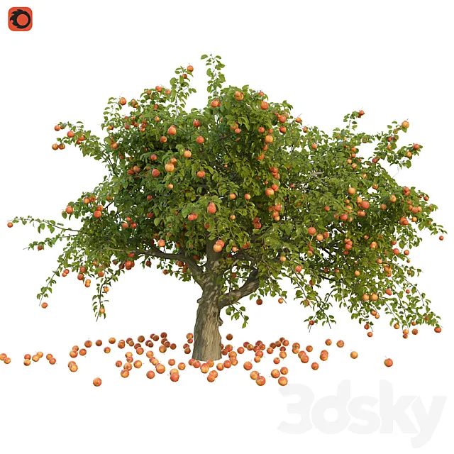 Apple tree 3DModel