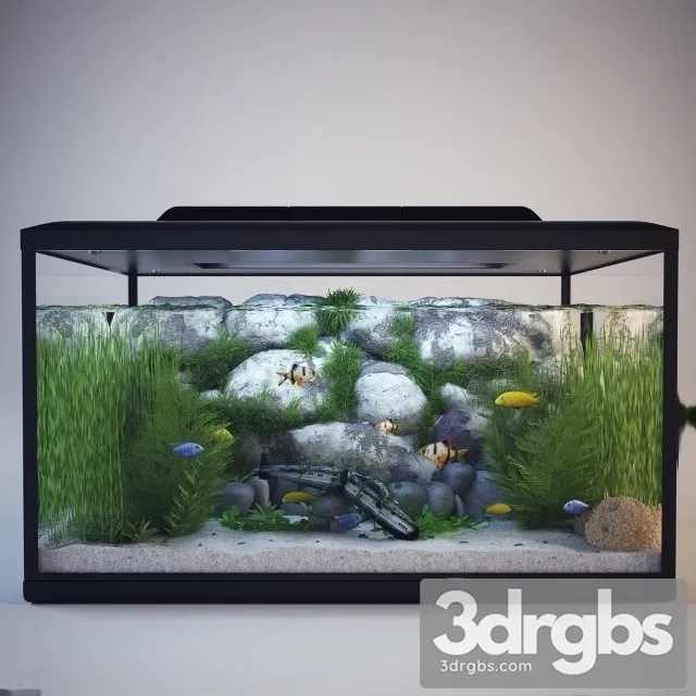 Aquarium 01 3D Model Free