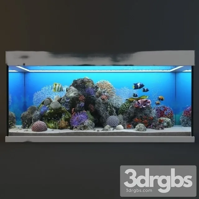 Aquarium 04 3D Model Free