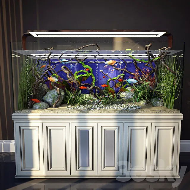 Aquarium 3 3D Model
