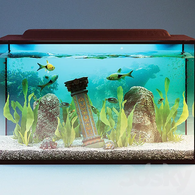 Aquarium 3D Model