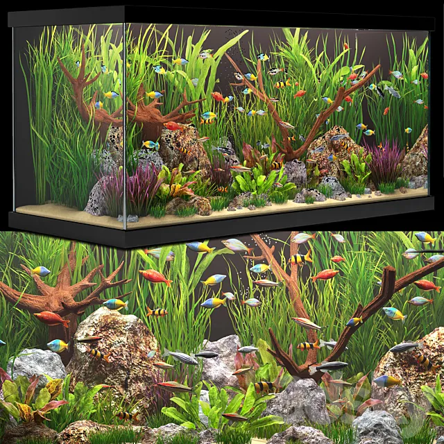Aquarium 3D Model