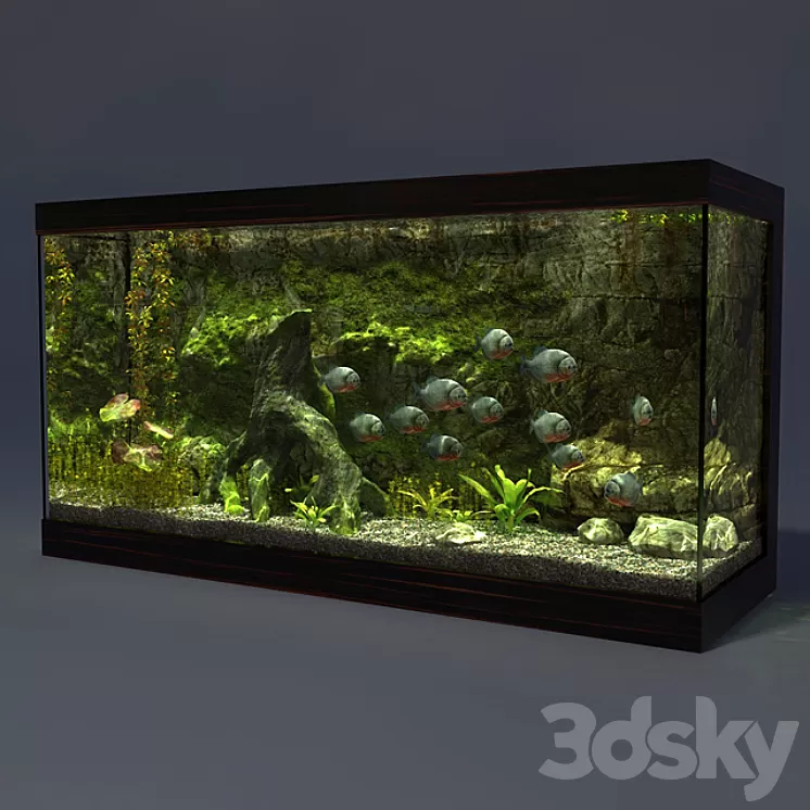 Aquarium 3D Model