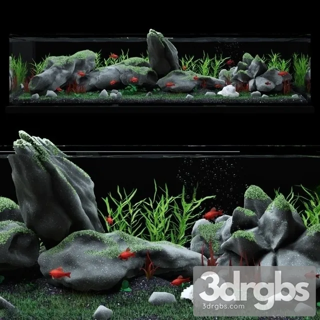 Aquarium 3D Model Free Download