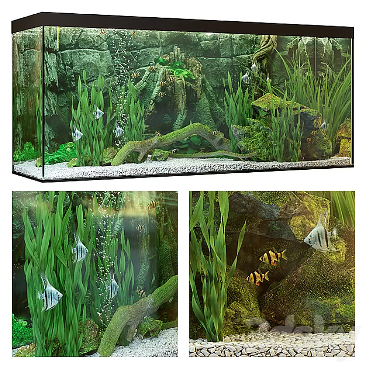 Aquarium 3D Model