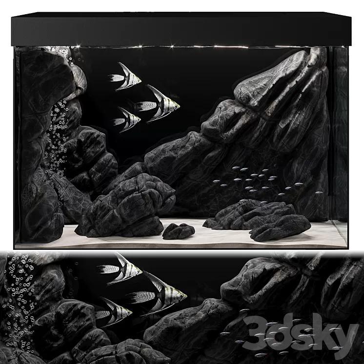Aquarium 3D Model