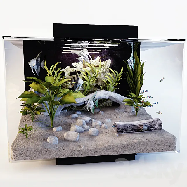 Aquarium 3D Model