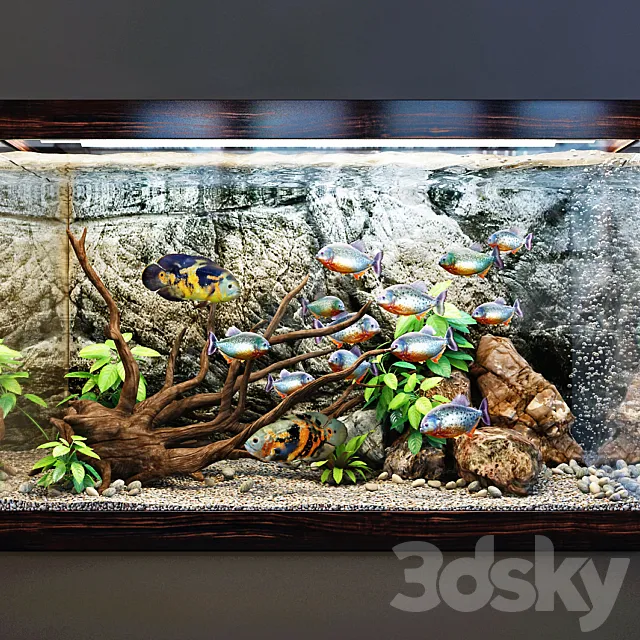 Aquarium 3DModel