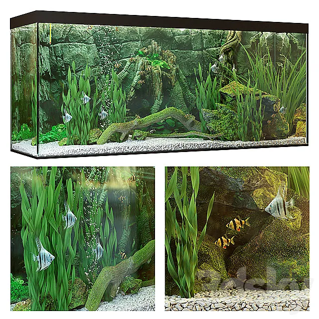 Aquarium 3DModel