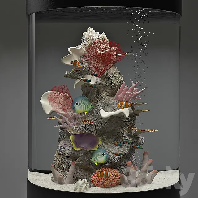 Aquarium 3DModel