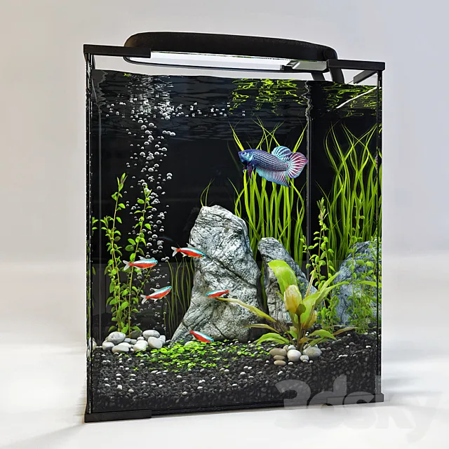 Aquarium 3DModel