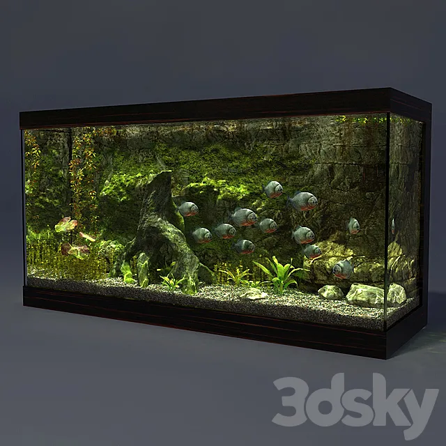 Aquarium 3DModel