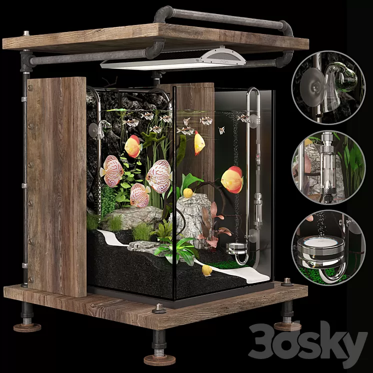 Aquarium Loft 3D Model