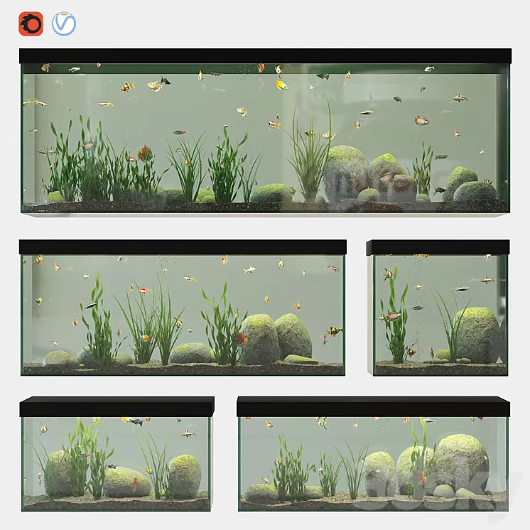 Aquarium set 3D Model