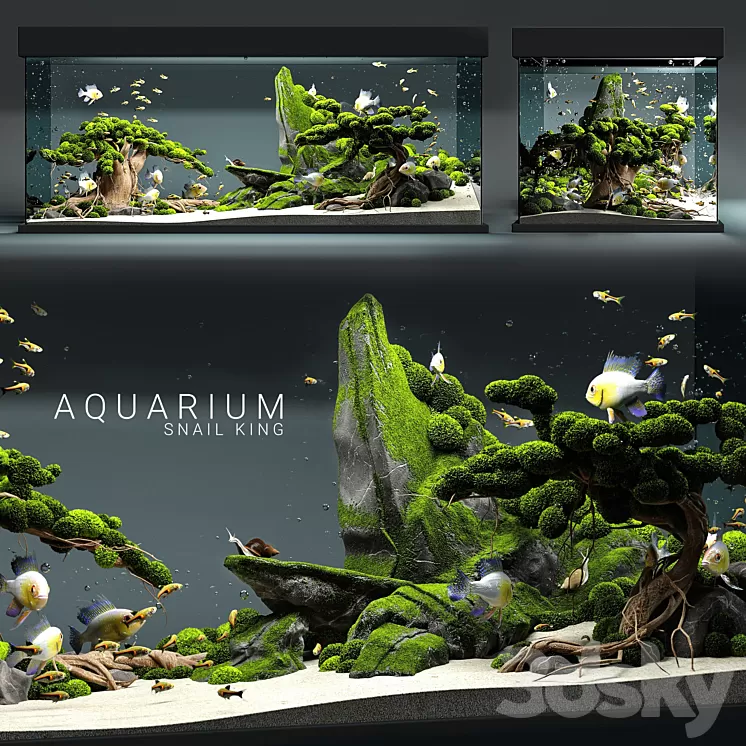 Aquarium snail king 3D Model