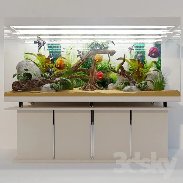 Aquarium Tropiki 3D Model