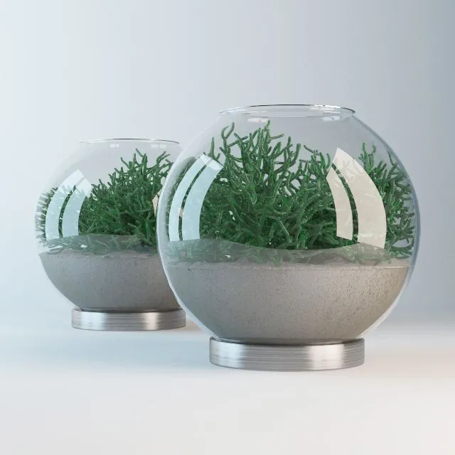 Aquarium with hatioroj and sand 3D Model