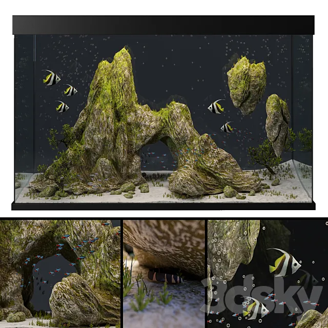 Aquarium with rocks and moss Free Download