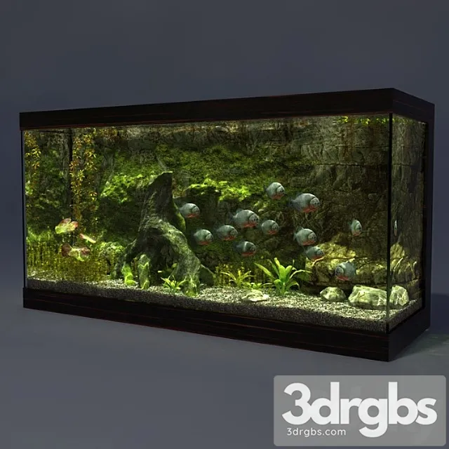 Aquarium_2 3D Model Free