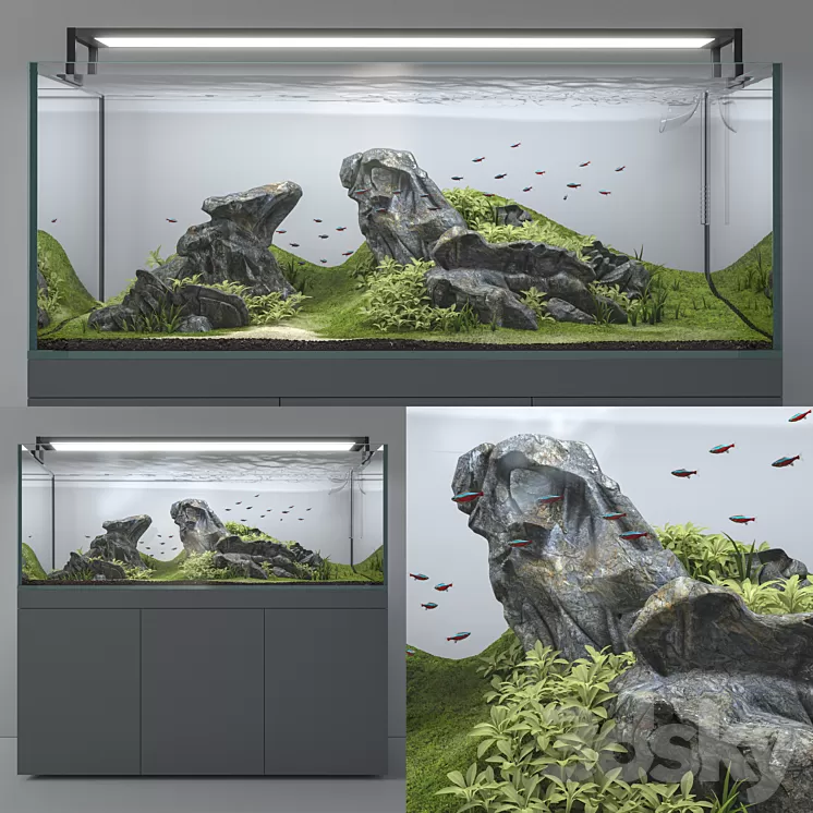 Aquascape aquarium 3D Model