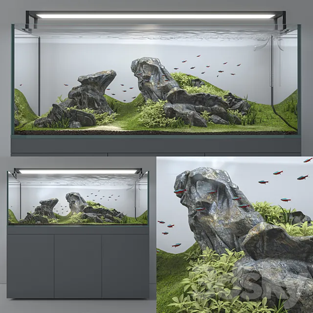 Aquascape aquarium 3DModel