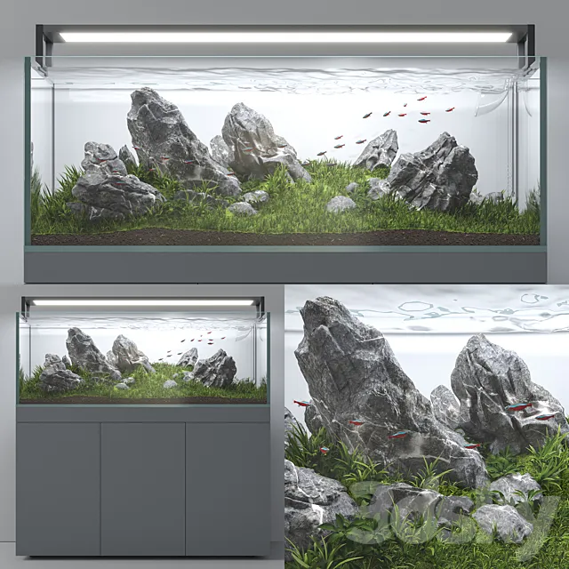 Aquascape aquarium Iwagumi 3D Model