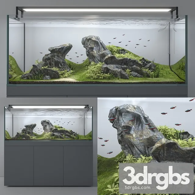 Aquascape aquarium