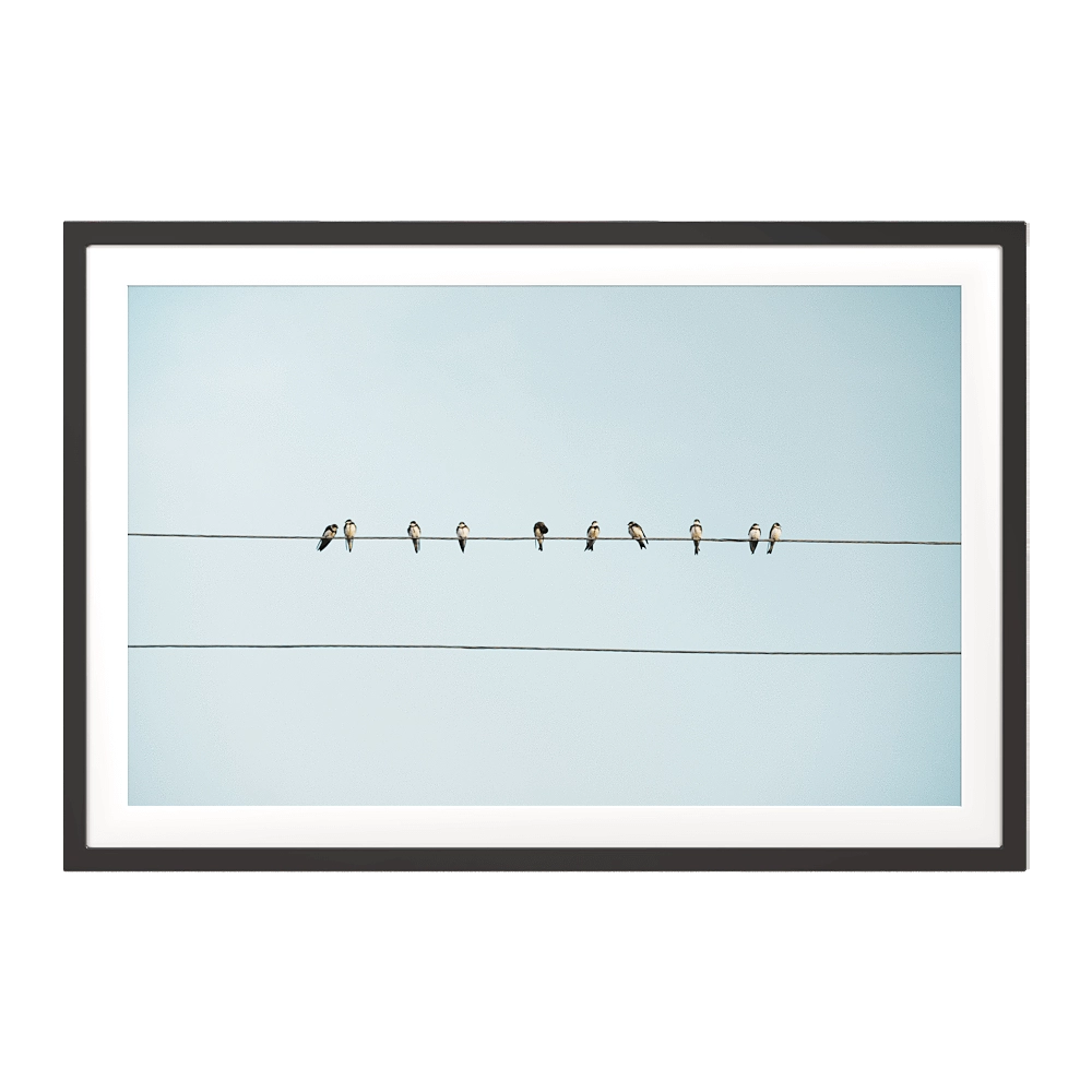 ArArArt - Picture #01 Birds on Wires in Rural Armenia 3D Model