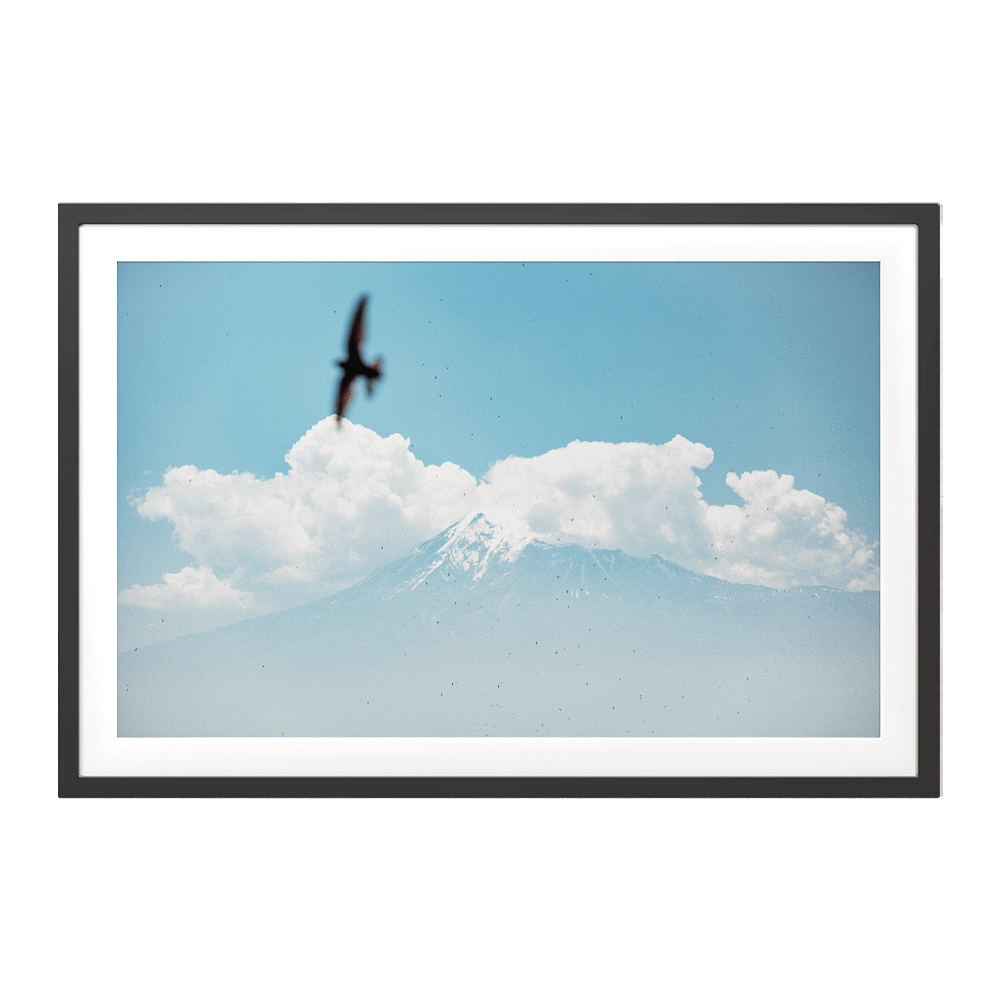 ArArArt - Picture #01 Great Ararat & Swifts 3D Model