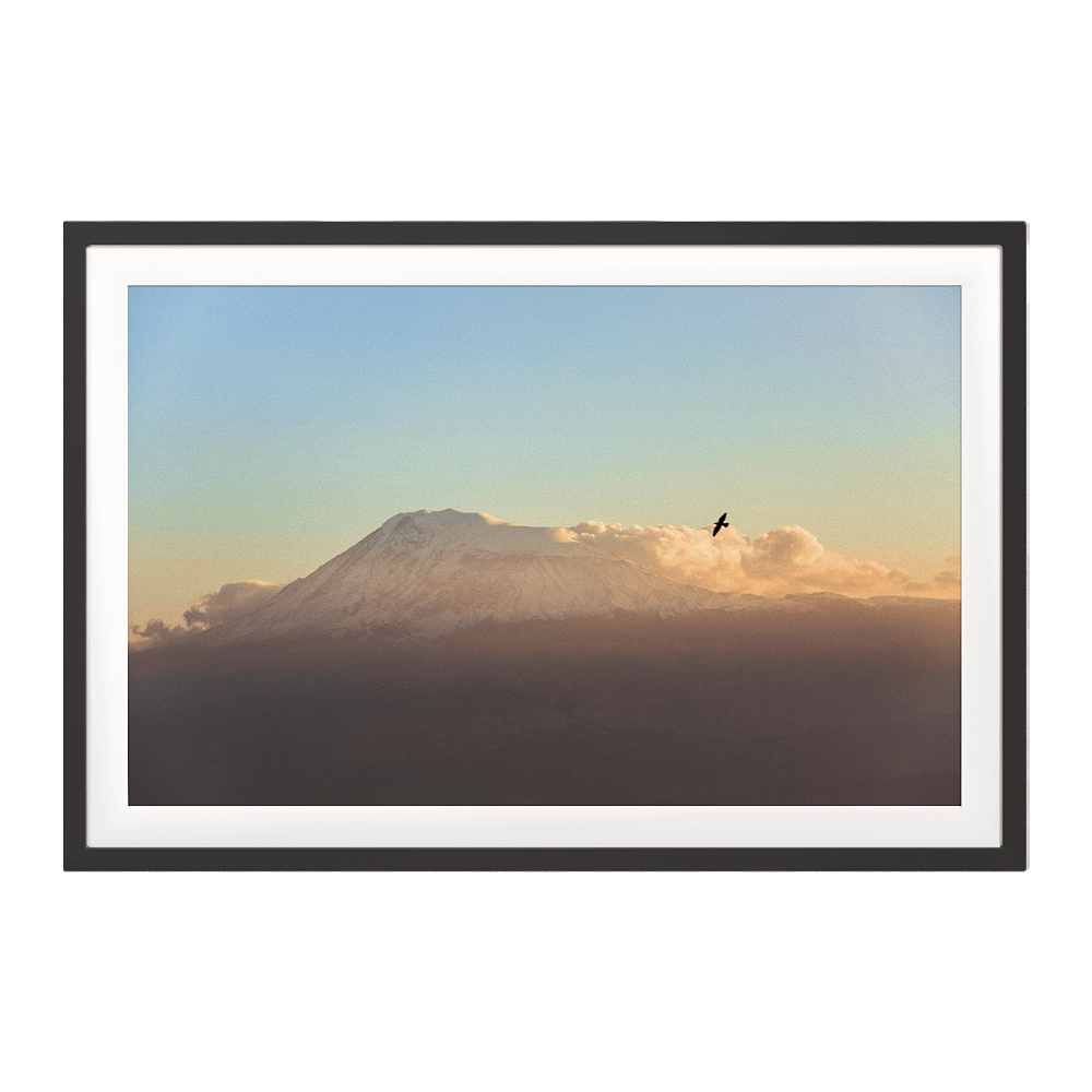 ArArArt - Picture #015 Great Ararat & Birds 3D Model