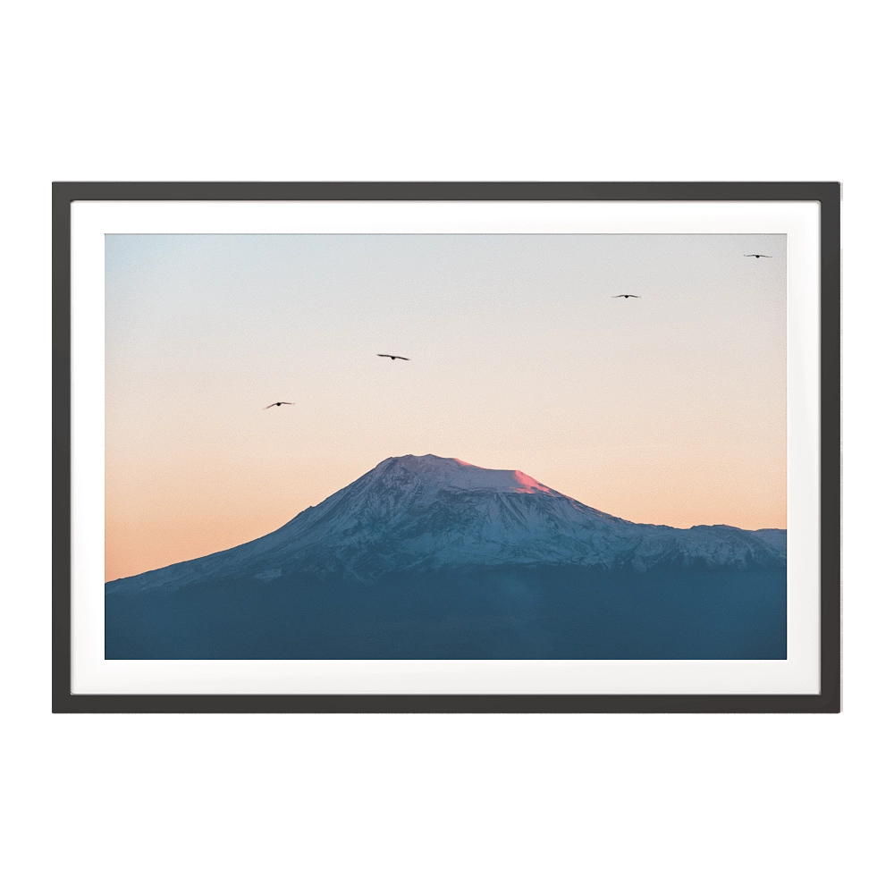 ArArArt - Picture #02 Great Ararat & Birds 3D Model
