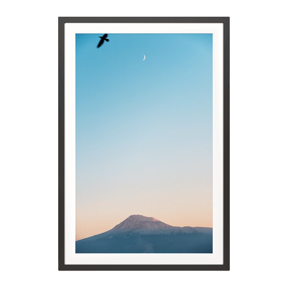 ArArArt - Picture #06 Great Ararat & Birds 3D Model