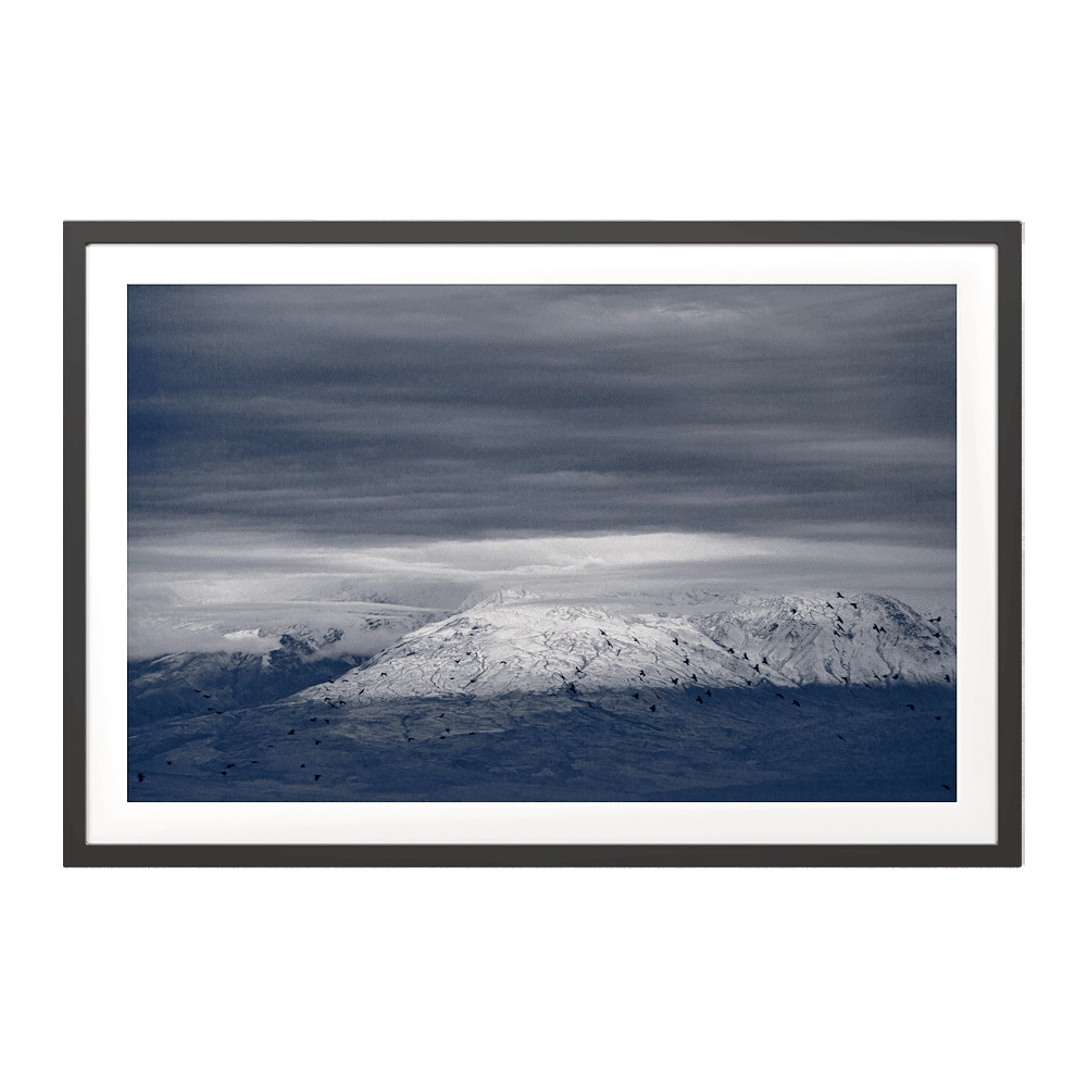 ArArArt - Picture #08 Great Ararat & Birds 3D Model