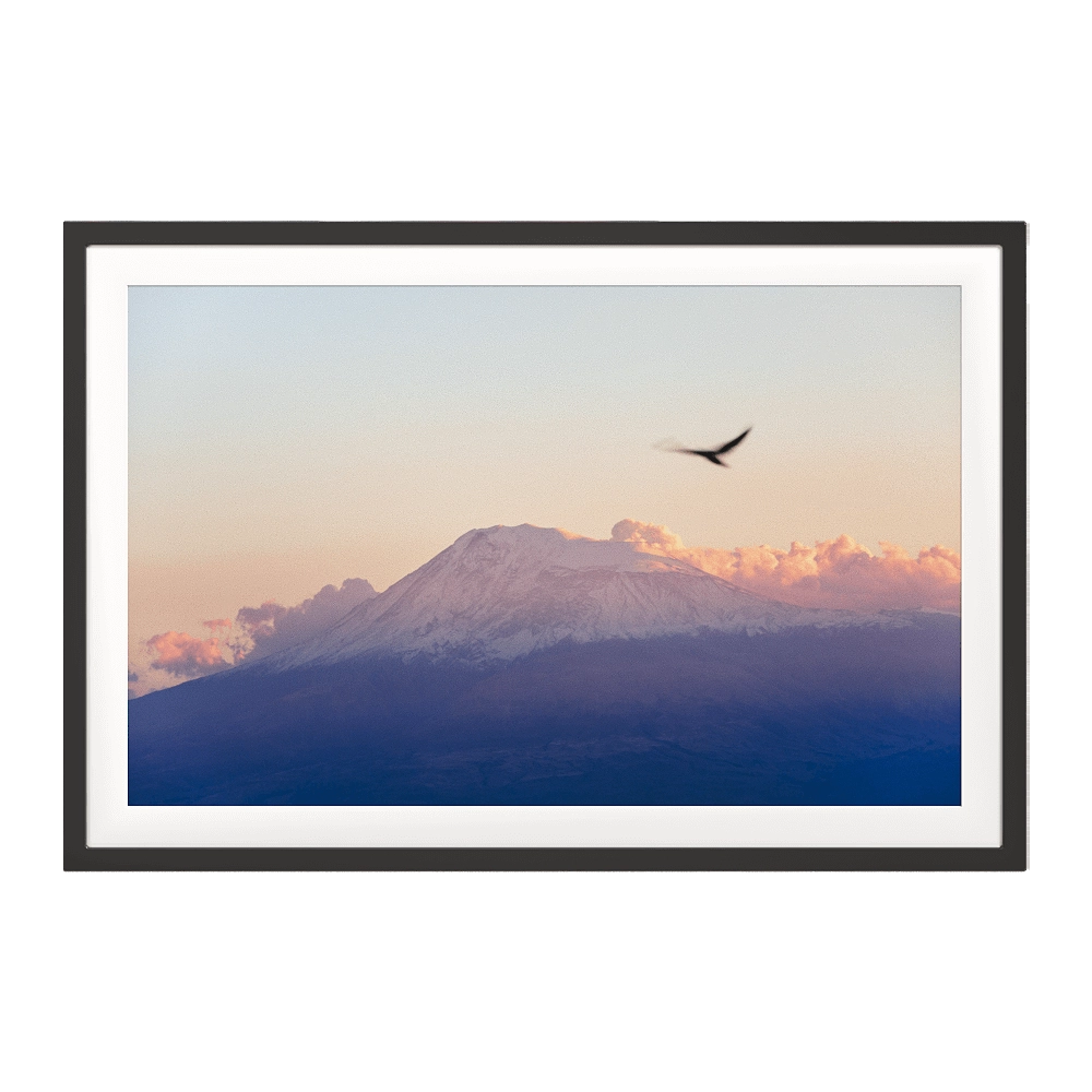 ArArArt - Picture #09 Great Ararat & Birds 3D Model