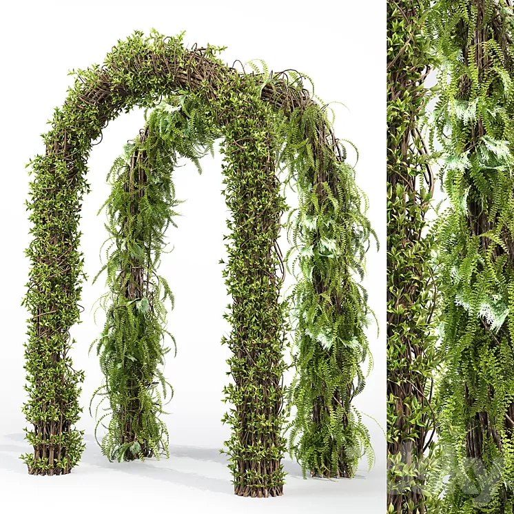 Arch hedge 3D Model