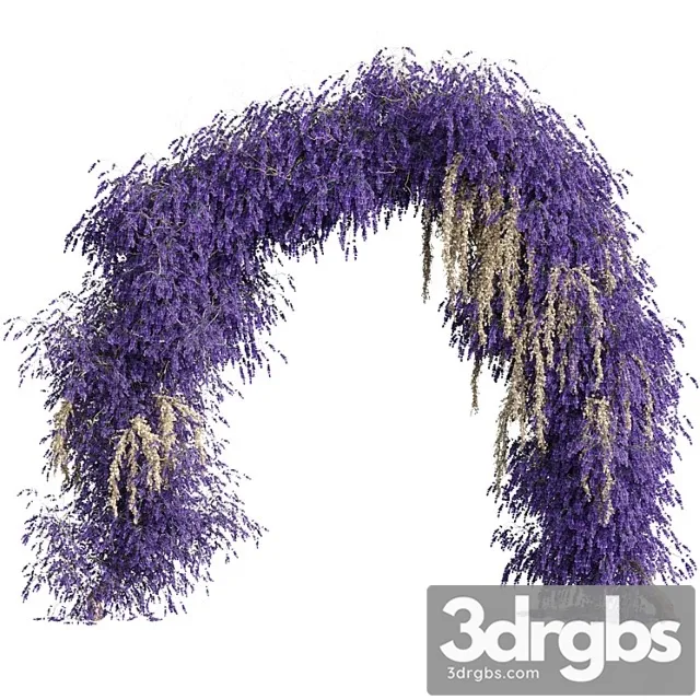 Arch of Lavender Flowers 3D Model Free