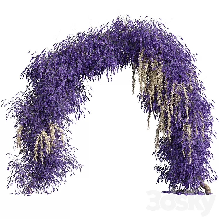 Arch of lavender flowers 3D Model Free