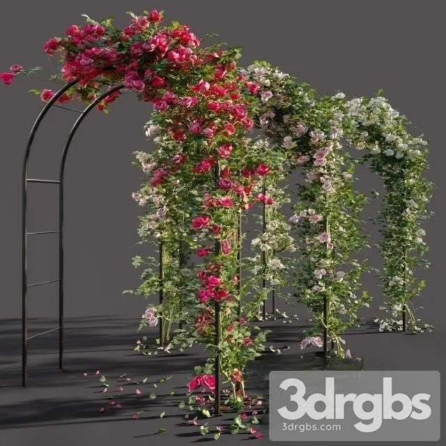 Arch Roses 3D Model Free