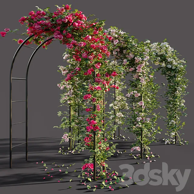 Arch with roses Free Download