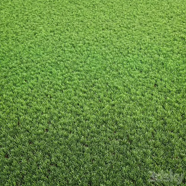 Arch_grass 02 3D Model