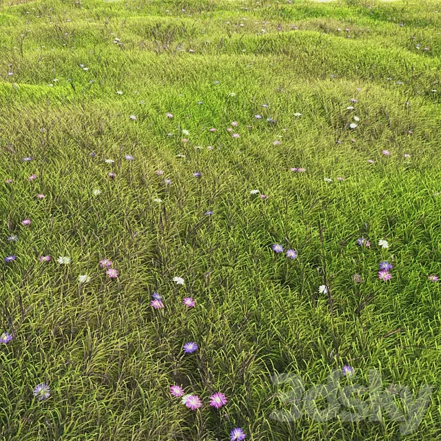arch_grass 05 3D Model