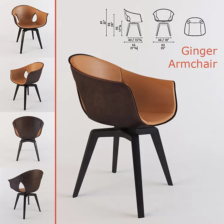 Armchair Ginger Poltrona Frau 3D Model